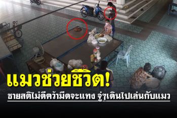 น้องแมวช่วยชีวิต! ชายสติไม่ดีคว้ามีดเข้ามาจะแทง จู่ๆเดินไปเล่นกับแมวเฉย (คลิป)
