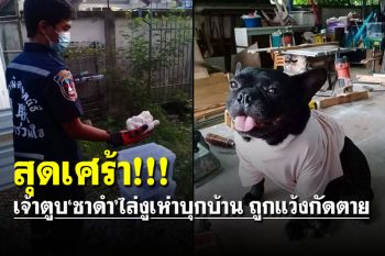 สุดเศร้า! เจ้าตูบ\'ชาดำ\'ไล่งูเห่าบุกบ้าน ถูกแว้งกัดตาย ผงะพบไข่งูอีก 22 ฟอง