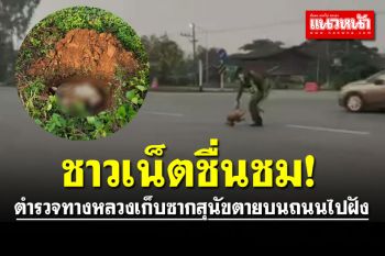 ชาวเน็ตชื่นชม!! ตำรวจทางหลวงเก็บซากสุนัขตายบนถนนไปฝัง