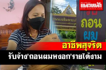 อาชีพสุดปังยุคโควิด!! รับจ้าง\'ถอนผมหงอก\' ชั่วโมงละ 100 บาทรายได้ดี