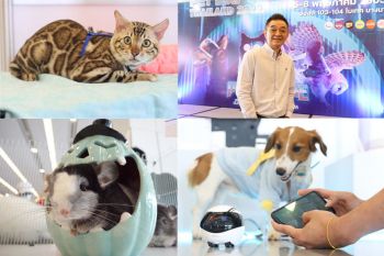 พร้อมแล้ว! PET Expo Thailand 2022 ธีมสุดล้ำ\'Petaverse\' เทรนด์นวัตกรรมสัตว์เลี้ยงมาแรง