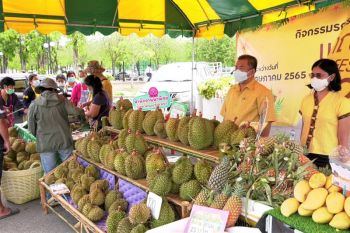‘พาณิชย์ฉะเชิงเทรา’ชวนเลือกซื้อผลไม้ในเทศกาล Fruit Festival 2022