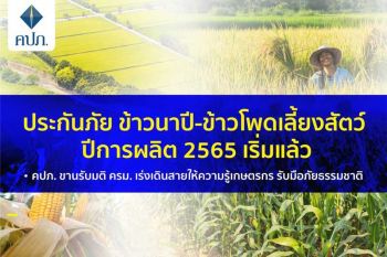 ประกันภัยข้าวนาปี-ข้าวโพดเลี้ยงสัตว์ ปีการผลิต 2565 เริ่มแล้ว คปภ. ขานรับมติ ครม. เร่งเดินสายให้ความรู้เกษตรกร รับมือภัยธรรมชาติ