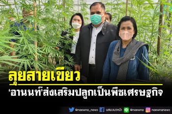 \'อานนท์\'นำทีมอดีตแกนนำเสื้อแดง ลุยส่งเสริมเกษตรกรปลูกกัญชาเป็นพืชเศรษฐกิจ