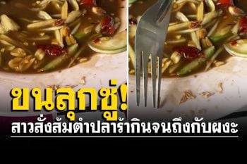 แทบอ้วก! สาวสั่งส้มตำปลาร้ากินจนเกือบเกลี้ยง สุดท้ายเห็นว่าหนอนยั้วเยี้ยในจาน