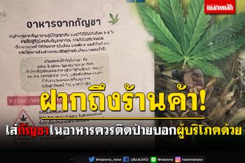 ฝากถึงร้านค้า! หากใส่กัญชาในอาหาร ควรติดป้ายบอกผู้บริโภคไว้ด้วย