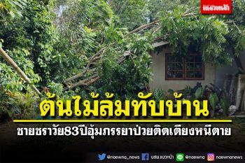 กระบี่ฝนถล่ม! ต้นไม้ล้มทับบ้านชายชราวัย83ปีพังยับ ต้องอุ้มภรรยาป่วยติดเตียงหนีตาย
