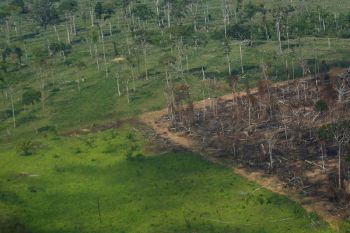 Science Update : ผืนป่าแอมะซอนถูกทำลายหนัก