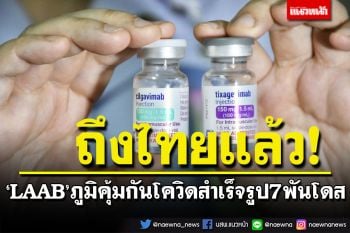 ข่าวดี! \'LAAB\'ภูมิคุ้มกันโควิดสำเร็จรูป ล็อตแรก 7 พันโดสถึงไทยแล้ว