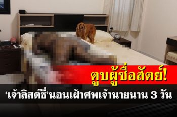 \'เจ้าลิสต์ซี่\'ตูบผู้ซื่อสัตย์! นอนเฝ้าศพเจ้านายนานกว่า 3 วัน