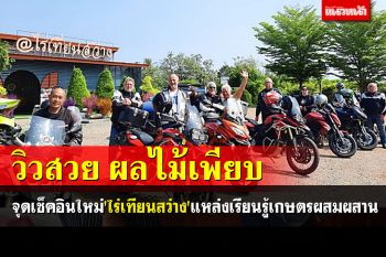 จุดเช็คอินใหม่ \'ไร่เทียนสว่าง\' แหล่งเรียนรู้เกษตรผสมผสาน วิวสวย ผลไม้เพียบ