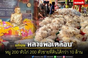 สาวเมืองโอ่งขนหมู 200 หัวไก่ 200 ตัวแก้บน\'หลวงพ่อเคลือบ\'ขายที่ดินได้กว่า 10 ล้าน