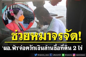 สวยใจบุญ! ‘ผอ.ฟ้า’ จ่อควักเงินล้านช่วยตลก ‘ต๊ะติ้งโหน่ง’ ซื้อที่ดิน 2 ไร่ ดูแลหมาจรจัด
