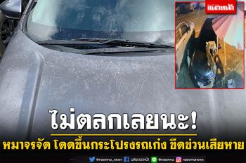 แก๊งหมาแสบ! โดดขึ้นเก๋งเล็บขีดข่วนเสียหาย เจ้าของรถไม่ตลกเสียเงินทำสีใหม่