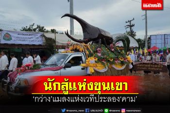 เปิดโลกของ‘กว่าง’ นักสู้แห่งขุนเขาสู่การละเล่น-วิถีชาวเหนือ