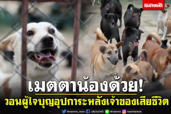 แบกภาระไม่ไหว! วอนผู้ใจบุญอุปการะสุนัข เจ้าของสถานสงเคราะห์เสียชีวิต