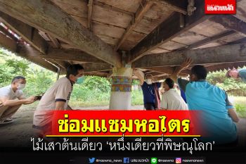 ชาวโคกผักหวานร่วมซ่อมแซมหอไตรกุฏิพระไม้เสาต้นเดียวหนึ่งเดียวที่พิษณุโลก