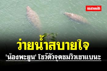 ชม \'น้องพะยูน\' โชว์ตัวจุดชมวิวเขาแบนะ อุทยานแห่งชาติหาดเจ้าไหม จ.ตรัง
