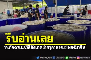 \'อ.อ๊อด\'แนะวิธีสังเกตง่ายๆ\'ผัก-เนื้อสัตว์-ผลไม้-อาหารทะเล\'ที่แช่ฟอร์มาลิน