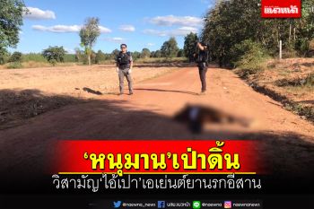 ‘หนุมาน’เป่าดิ้น!วิสามัญ‘ไอ้เปา’เอเย่นต์ใหญ่ยานรกอีสาน เหิมยิงสู้ตำรวจ