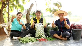 โลตัส สนับสนุนทหารผ่านศึกกลุ่มสายใจไทย  ปลูกผักสดส่งขายในโลตัส สร้างอาชีพและรายไดที่ยั่งยืน