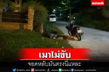 นายเยี่ยมมาก! \'เมาไม่ขับ\' ถึงจะกลับเกือบถึงบ้านแต่ขอนอนตรงนี้ก่อนแล้วกัน