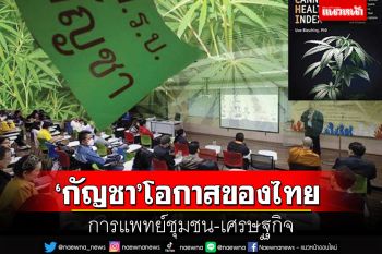 สกู๊ปแนวหน้า : ‘กัญชา’โอกาสของไทย  การแพทย์ชุมชน-เศรษฐกิจ