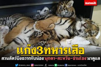 แก๊ง3ทหารเสือ! น้อง\'มุกดา-สะหวัน-ข้ามโขง\' ย้ายบ้านมาอยู่สุพรรรณ\'บึงฉวาก\'แล้ว