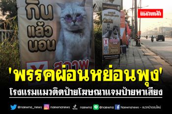 ทาสถูกใจ!! โรงแรมแมวติดป้ายโฆษณาแจมป้ายหาเสียง \'พรรคผ่อนหย่อนพุง\'