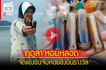 (คลิป)สตูลเริ่มแล้ว! ฤดูล่าหอยหลอด จัดแข่งขันจับหอยชิงเงินรางวัล