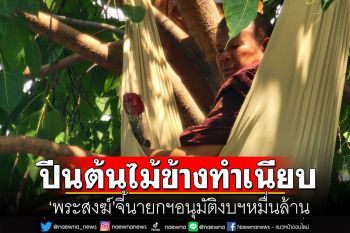 \'พระสงฆ์\'ปีนต้นไม้ข้างทำเนียบ จี้นายกฯอนุมัติงบฯหมื่นล้าน