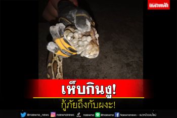 กู้ภัยผงะ! ชาวบ้านแจ้งให้ไปช่วยจับงูเหลือมแต่ภาพที่เห็น \'เจอเห็บกินงู\'