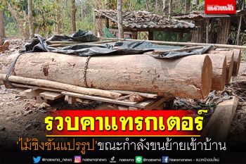 รวบคาแทรกเตอร์! ลอบตัดท่อนไม้ชิงชันแปรรูป ขณะกำลังขนเข้าบ้าน
