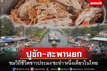 หนึ่งเดียวในไทย!ชมวิถีชีวิตชาวประมง ลิ้มรสปูม้าสดอร่อยที่ตลาด‘ปูชัก-สะพานยก@ชะอำ’