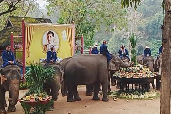‘สถาบันคชบาลแห่งชาติ ในพระอุปถัมภ์ฯ’จัดงานวันช้างไทย