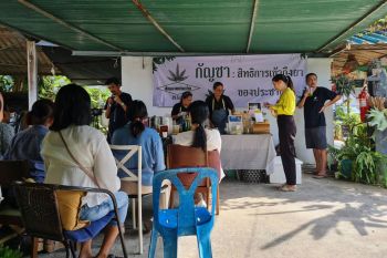 ฟาด 2 พรรค!‘กัญชาทางการแพทย์’ต้องควบคุมด้วยแพทย์‘ไม่จริง’ ตอกประชาชนเชี่ยวชาญกว่า