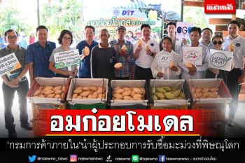 \'กรมการค้าภายใน\'ลงพื้นที่พิษณุโลก นำผู้ประกอบการรับซื้อมะม่วง ภายใต้อมก๋อยโมเดล