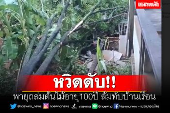 พายุถล่มต้นไม้อายุ100ปี ล้มทับบ้านหลังคาทะลุหวิดล้มทับคน