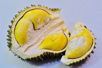 เกรฮาวด์ คาเฟ่ เอาใจ สายทุเรียนเลิฟเวอร์ ต่อเนื่อง ขยับโลเคชัน ปักหมุด กลางอโศก