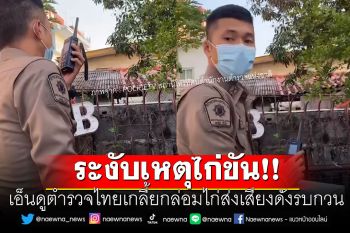 ระงับเหตุไก่ขัน!! เอ็นดูตำรวจไทยเกลี้ยกล่อมไก่ส่งเสียงดังรบกวน (คลิป)