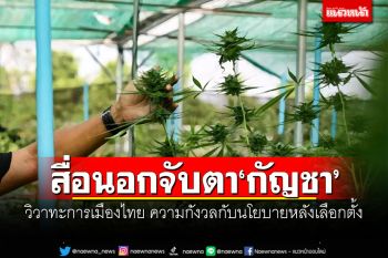 สื่อนอกจับตา‘กัญชา’ วิวาทะการเมืองไทย ความกังวลกับนโยบายหลังเลือกตั้ง