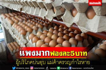 ซื้อกินไม่ไหว!ไข่ไก่ยะลาฟองละ 5 บาทผู้บริโภคบ่นอุบสุดแพง แม่ค้าครวญกำไรหาย