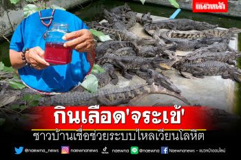 ฮือฮา!! ชาวบ้านเชื่อกินเลือด \'จระเข้\' ช่วยระบบไหลเวียนโลหิต