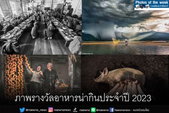 Photo of the week : ภาพเด็ดประจำสัปดาห์