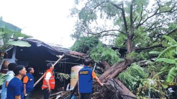พายุฝนถล่มชัยภูมิเสียหายหนัก  บ้านพังร้อยหลัง  น้ำท่วมถนน-รถยนต์ตกข้างทาง