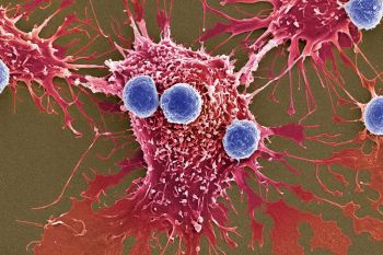 Health News : ไวรัสโบราณล้านปี อาจช่วยรักษามะเร็งได้