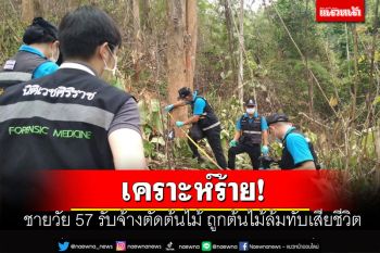 ชายวัย 57 รับจ้างตัดต้นไม้ ถูกต้นไม้ล้มทับเสียชีวิต