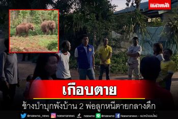ช้างป่าบุกพังบ้านเหลือแค่ 2 เมตรถึงตัว 2 พ่อลูกตกใจตื่นพากันหนีตายกลางดึก