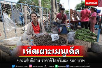 กิโลกรัมละ 500 บาท! \'เห็ดเผาะป่า\' สุดยอดเมนูเด็ดของแซ่บอีสาน