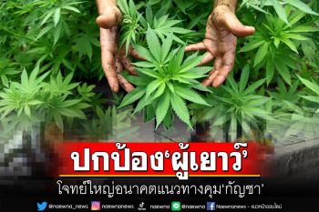 สกู๊ปแนวหน้า : ปกป้อง‘ผู้เยาว์’โจทย์ใหญ่  อนาคตแนวทางคุม‘กัญชา’
